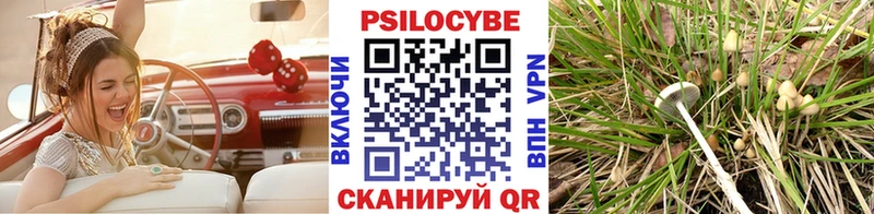 Купить закладки  Салаир  Галлюциногенные грибы MAGIC MUSHROOMS 